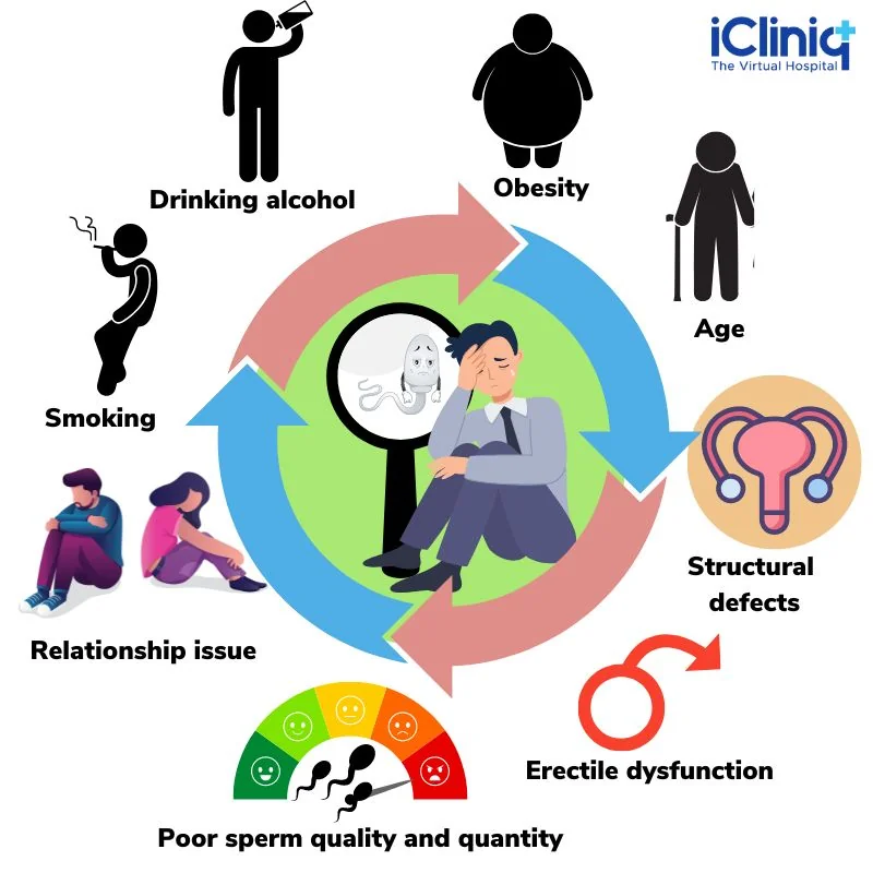 Causes of male infertility