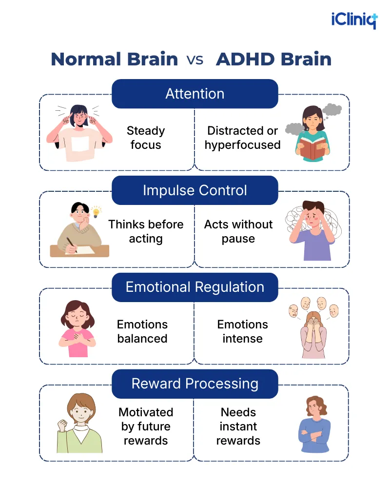 ADHD vs. Non-ADHD Brain: Function