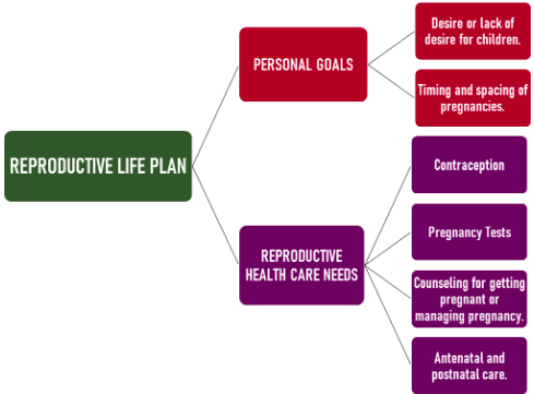 Reproductive Life Plan