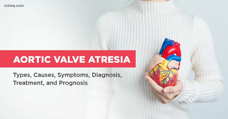 Aortic Valve Atresia - Types, Causes, Symptoms, Diagnosis, Treatment, and Prognosis Aortic Valve Atresia - Types, Causes, Symptoms, Diagnosis, Treatment, and Prognosis