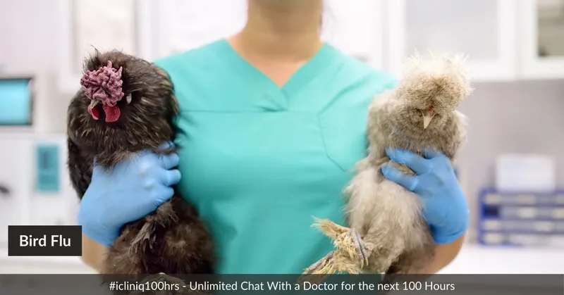 Transmission Risks and Symptoms of H5N1 in Humans - Overview Transmission Risks and Symptoms of H5N1 in Humans - Overview