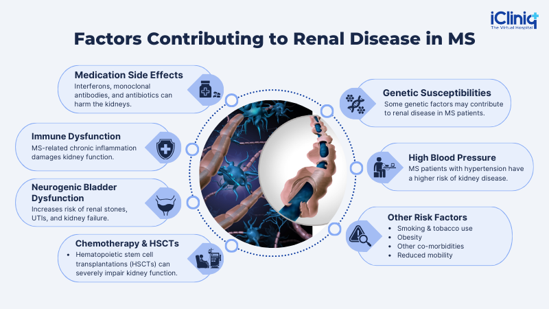 Factors contributing to renal disease in MS Factors contributing to renal disease in MS