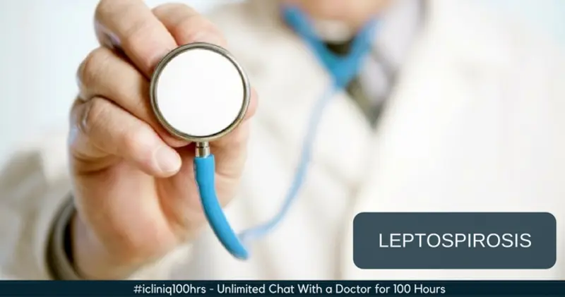 Leptospirosis, a Bacterial Disease - Things You Need to Know