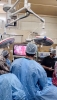 Dr. Rizwan Ahmed