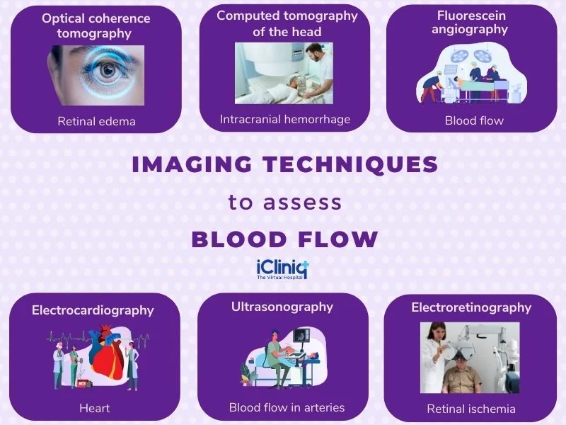 Techniques to assess blood flow