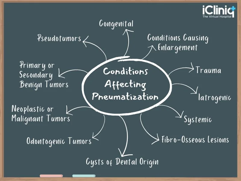 Conditions affecting pneumatization