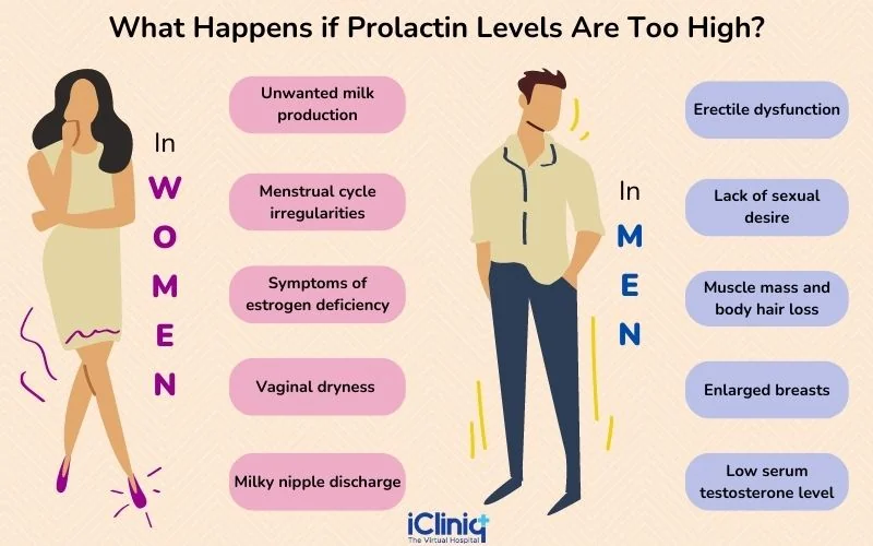 High prolactin levels High prolactin levels