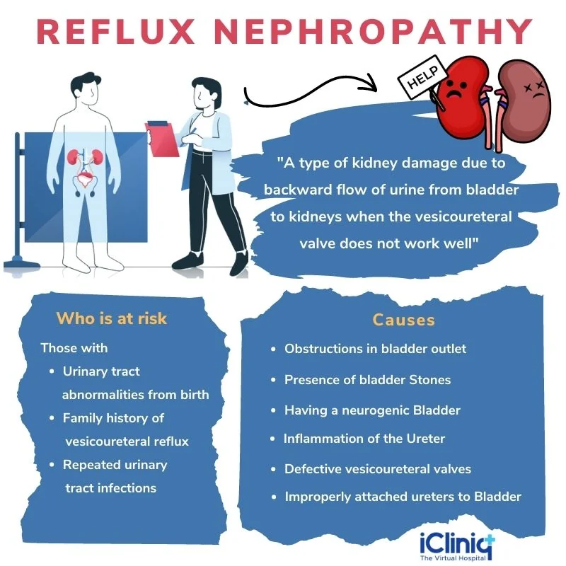 Causes of reflux nephropathy Causes of reflux nephropathy