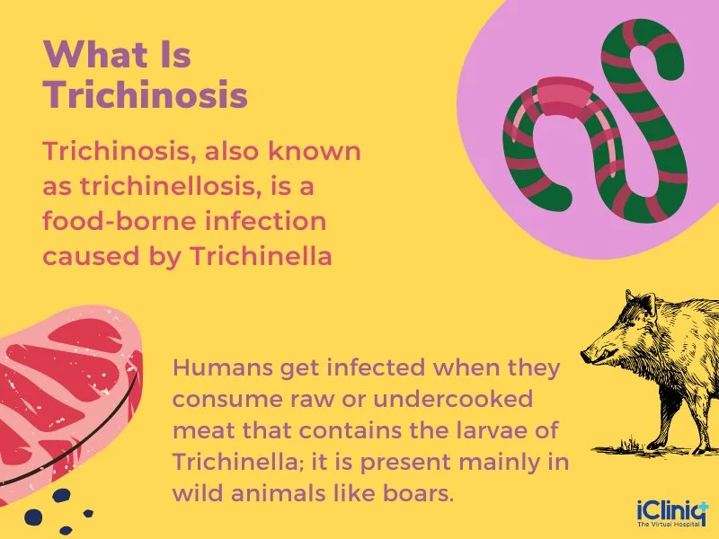 thrichinosis