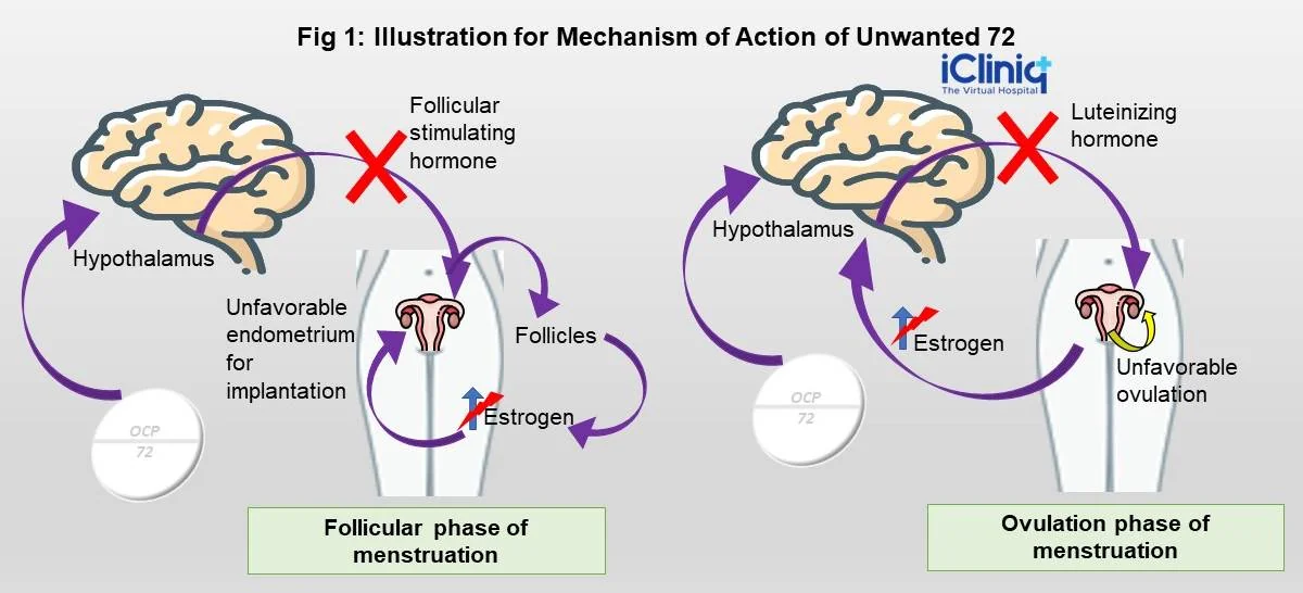 mechanism of action of unwanted 72