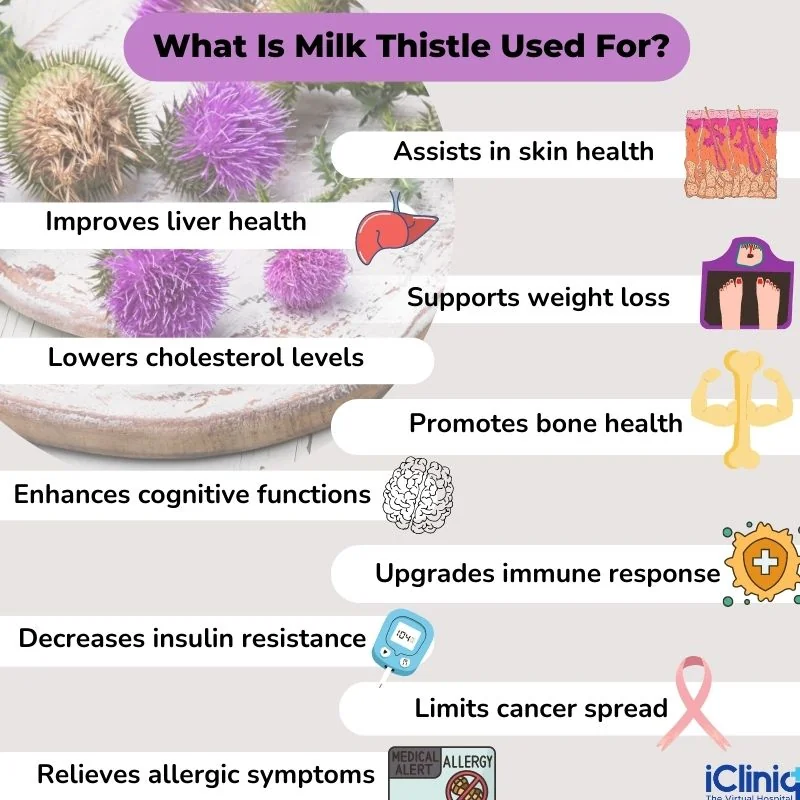 Milk thistle