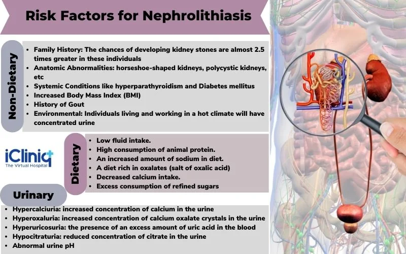 isk factors of nephrolithiasis are primarily divided into three categories risk factors of nephrolithiasis are primarily divided into three categories