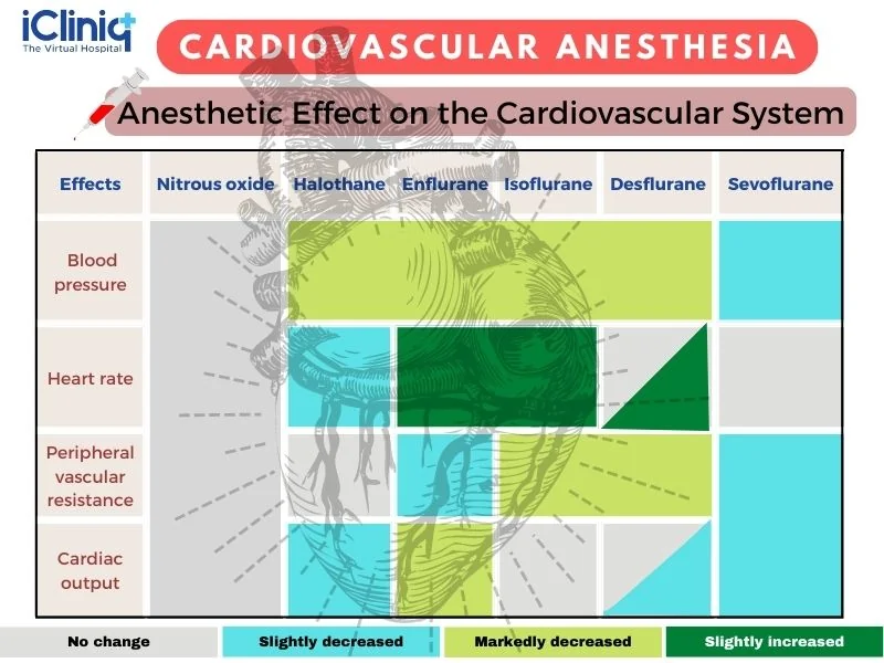 the anesthetic effect on the cardiovascular system the anesthetic effect on the cardiovascular system