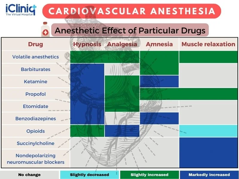 the anesthetic effect of particular drugs the anesthetic effect of particular drugs