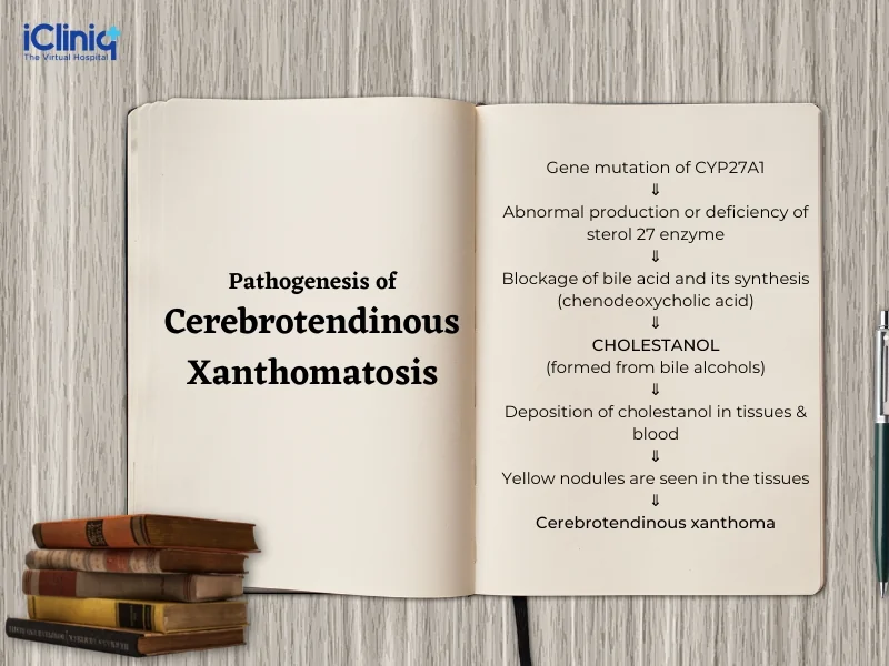 Causes Cerebrotendinous Xanthomatosis