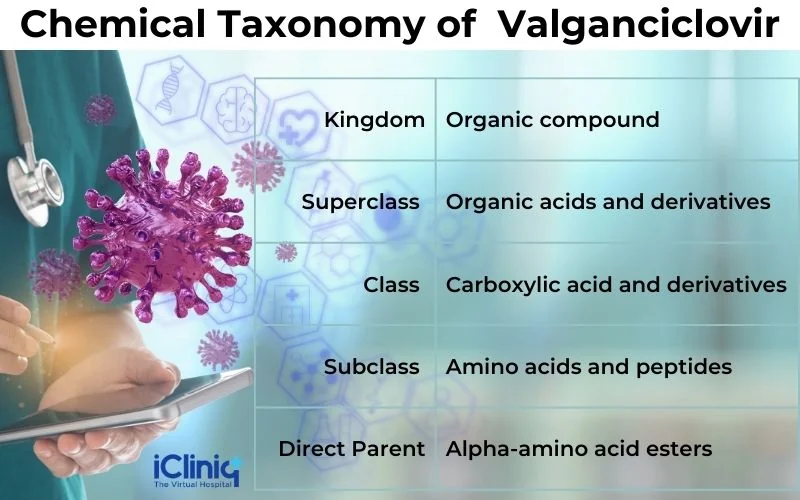 chemical-taxonomy-of-valganciclovir