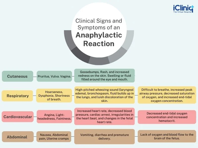 clinical-signs-and-symptoms-of-an-anaphylactic-reaction clinical-signs-and-symptoms-of-an-anaphylactic-reaction