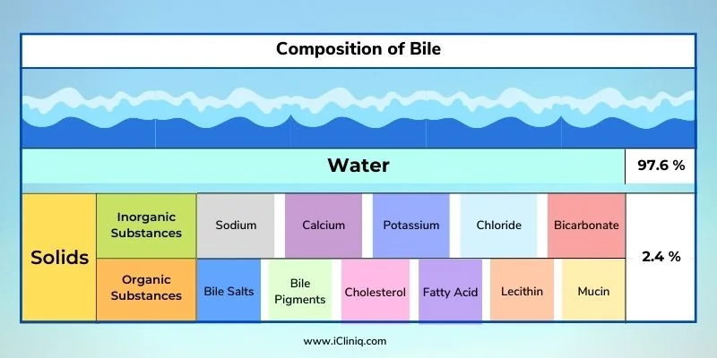 composition-of-bile
