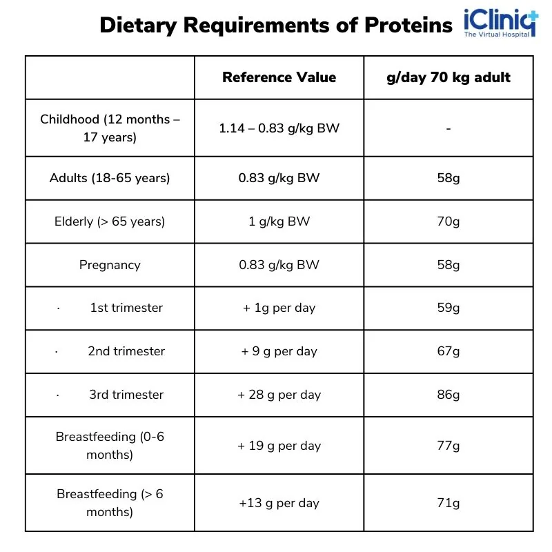 Dietary Requirements for Protein