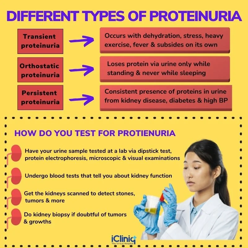 Types of Proteinuria