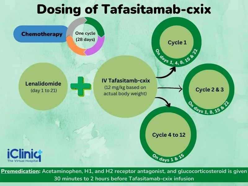 dosage-of-tafasitamab