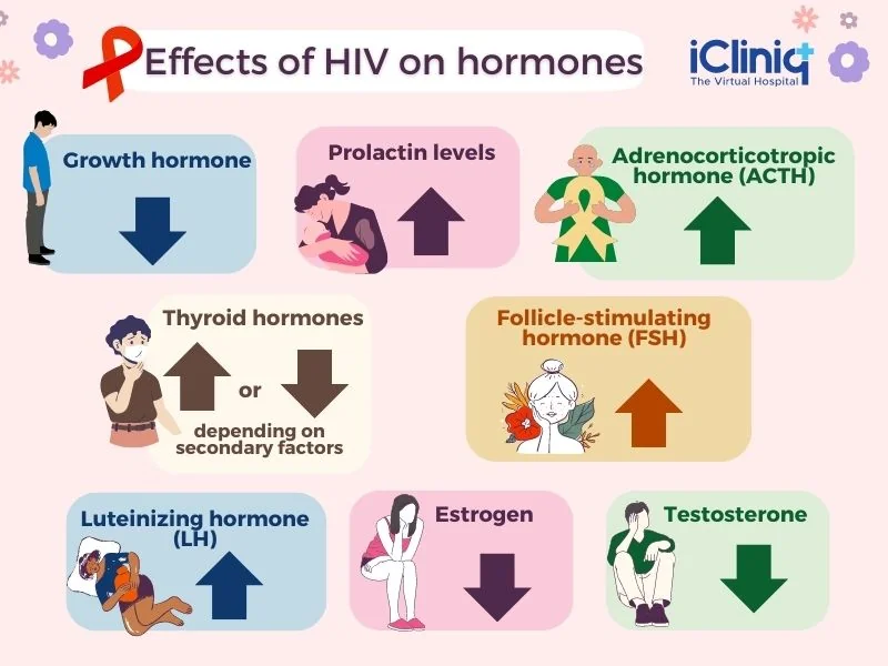 effects-of-hivaids-on-pituitary-gland-function effects-of-hivaids-on-pituitary-gland-function