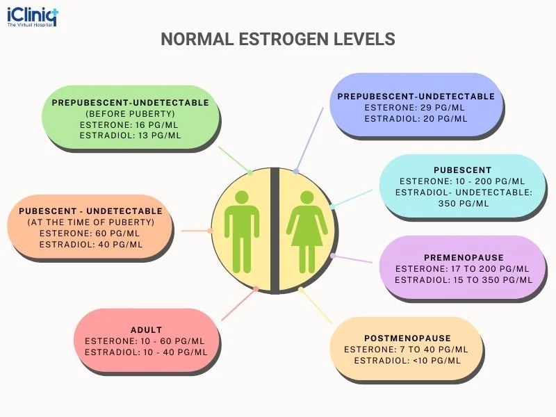 normal estrogen levels normal estrogen levels