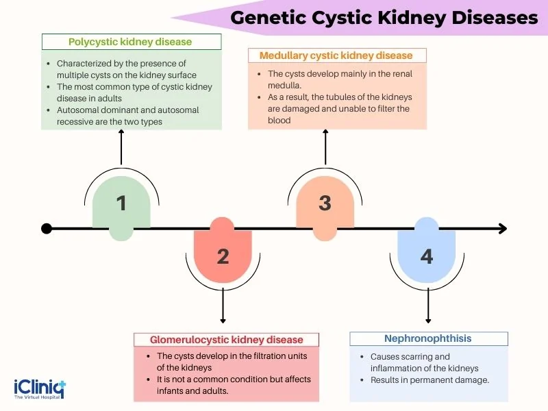 genetic-cystic-kidney-diseases