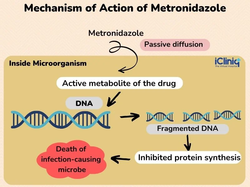 mechanism-of-metronidazole
