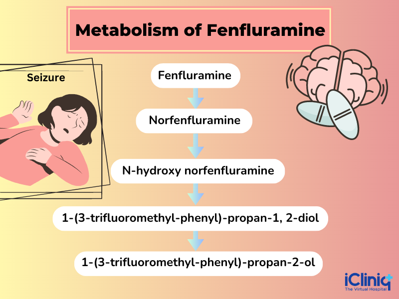 metabolism-of-fenfluramine