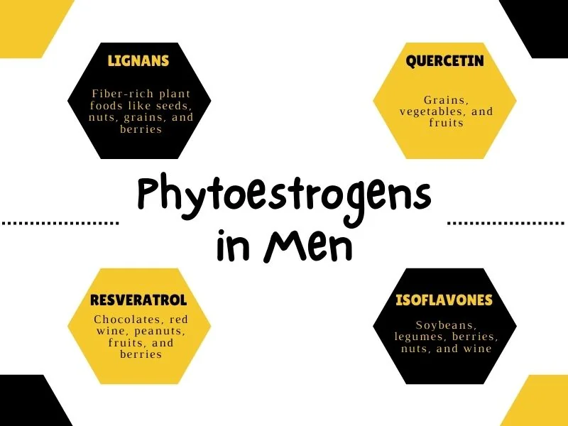 Phytoestrogens Description Phytoestrogens Description