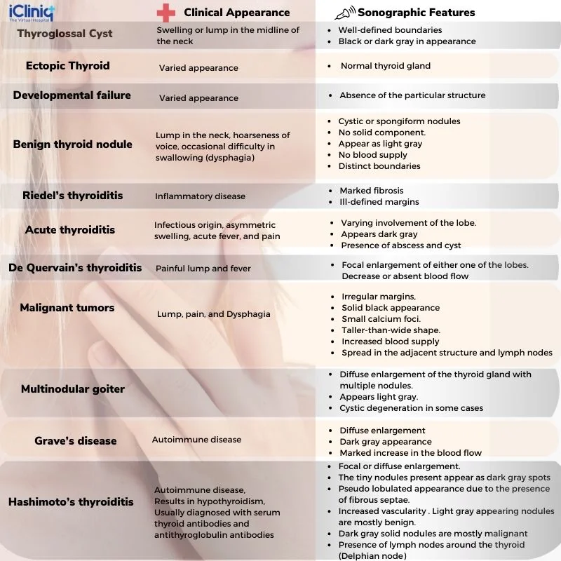 Thyroid ultrasound findings
