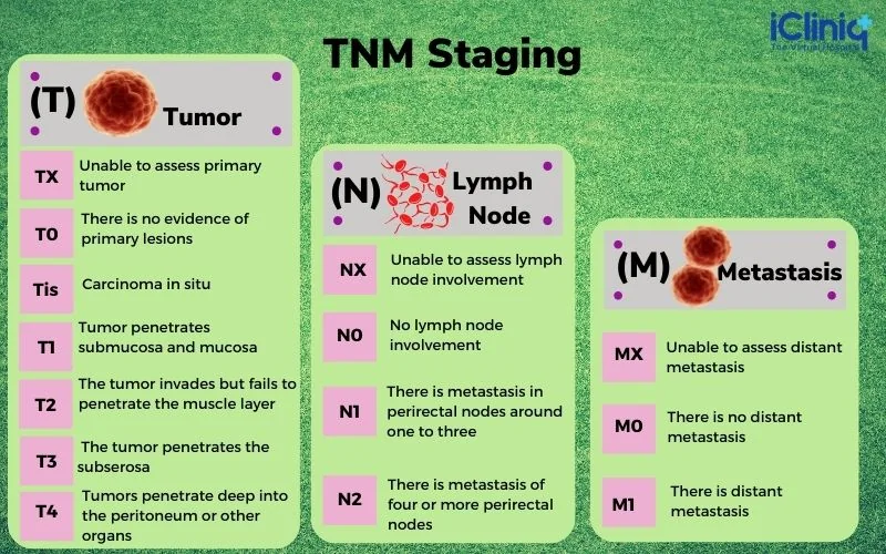 cancer-staging