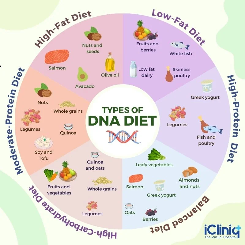 types of dna diet types of dna diet