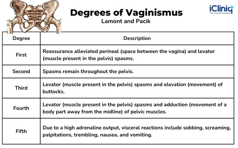 Various Degrees of Vaginismus Various Degrees of Vaginismus