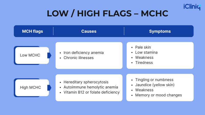 Symptoms of Low and High MCHC