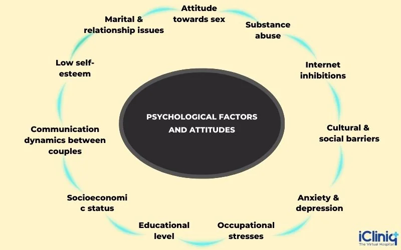 psychosocial factors and attitudes