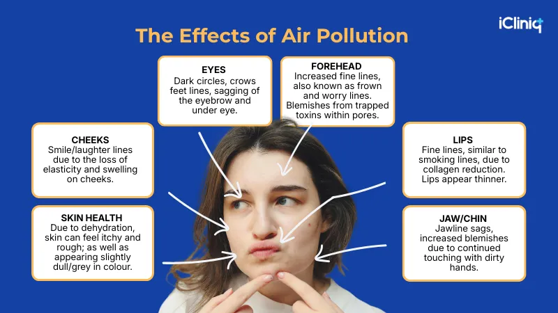 Effects of Pollution-Induced Skin Aging