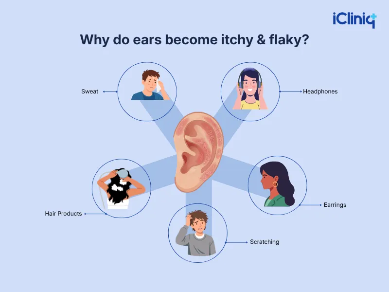 Why do Ears Become Itchy